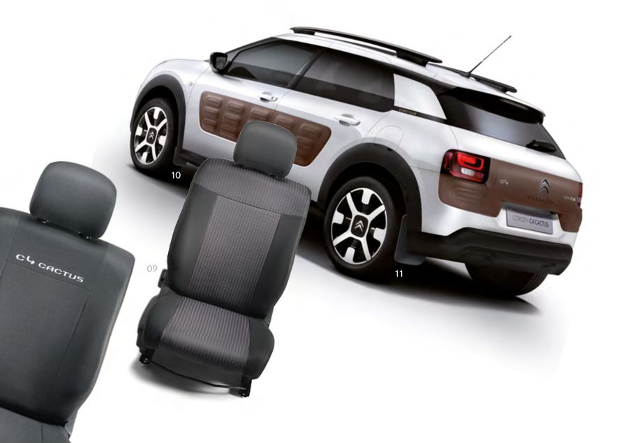 c4 cactus accessories