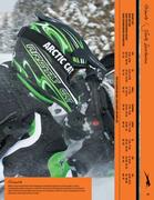 team arctic cat head